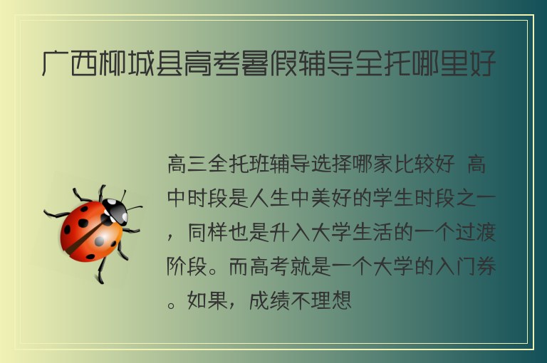 廣西柳城縣高考暑假輔導(dǎo)全托哪里好