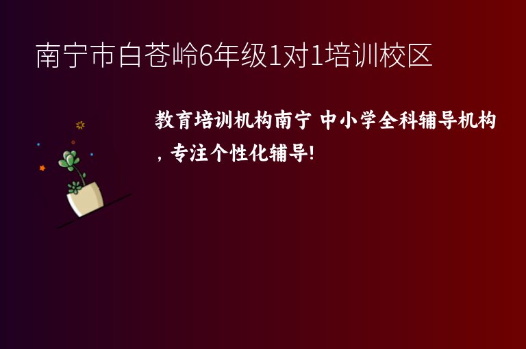 南寧市白蒼嶺6年級(jí)1對(duì)1培訓(xùn)校區(qū)