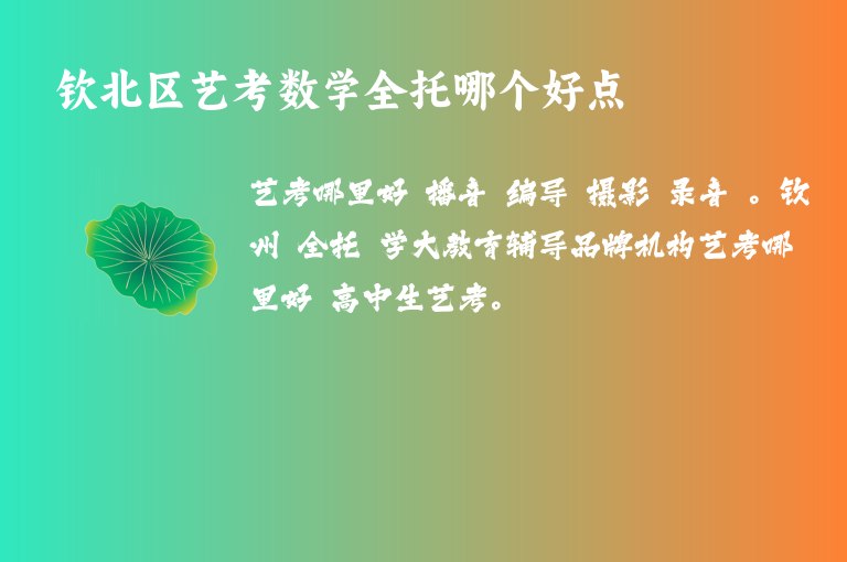 欽北區(qū)藝考數(shù)學全托哪個好點