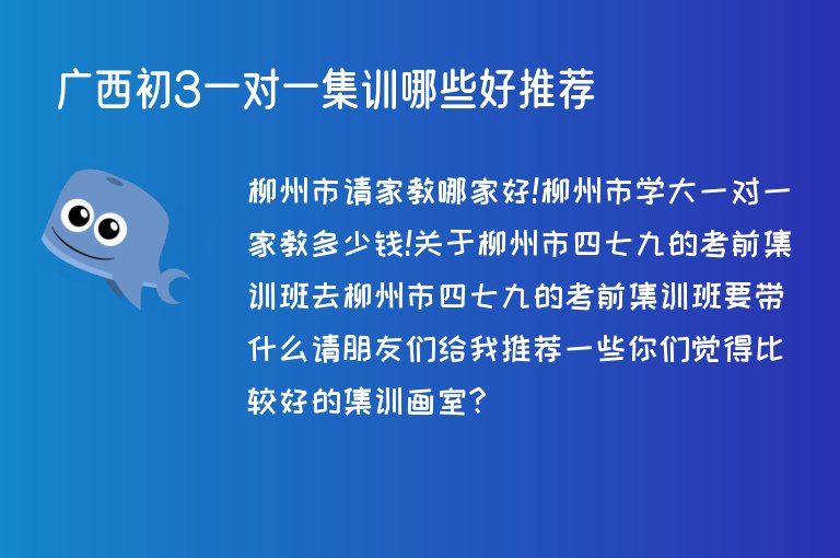 廣西初3一對一集訓哪些好推薦