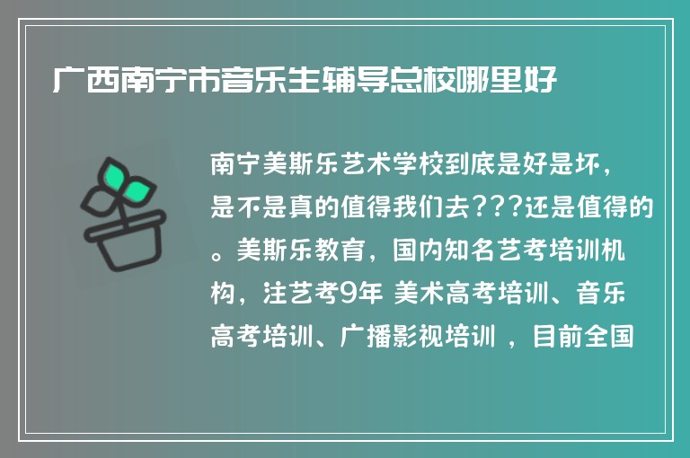 廣西南寧市音樂(lè)生輔導(dǎo)總校哪里好