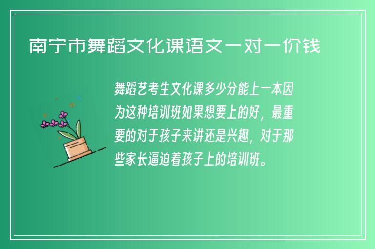 南寧市舞蹈文化課語文一對一價錢