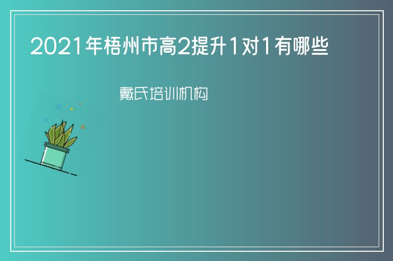 2021年梧州市高2提升1對(duì)1有哪些