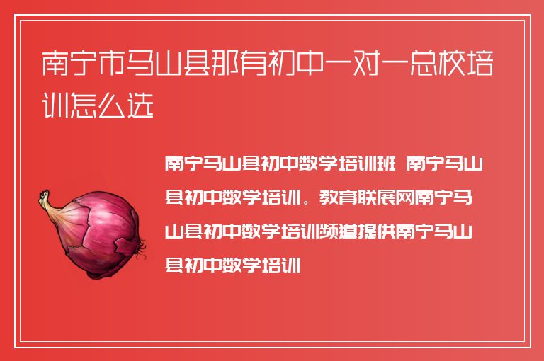 南寧市馬山縣那有初中一對一總校培訓怎么選