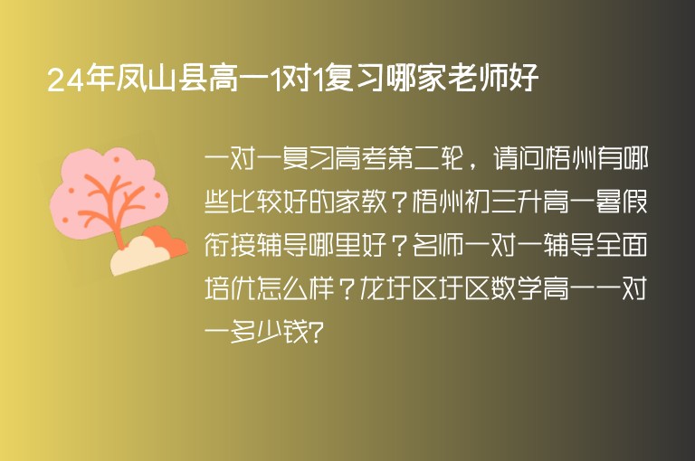 24年鳳山縣高一1對1復習哪家老師好