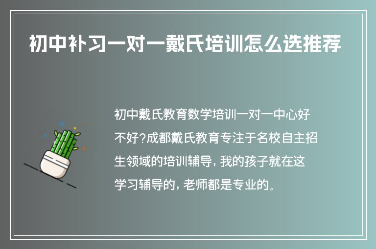 初中補習一對一戴氏培訓怎么選推薦