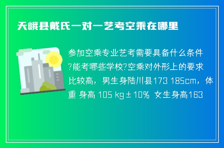 天峨縣戴氏一對一藝考空乘在哪里