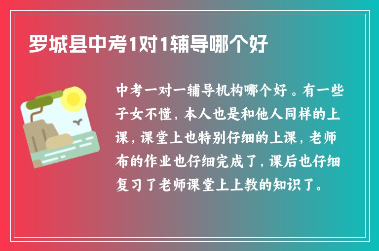 羅城縣中考1對1輔導(dǎo)哪個好