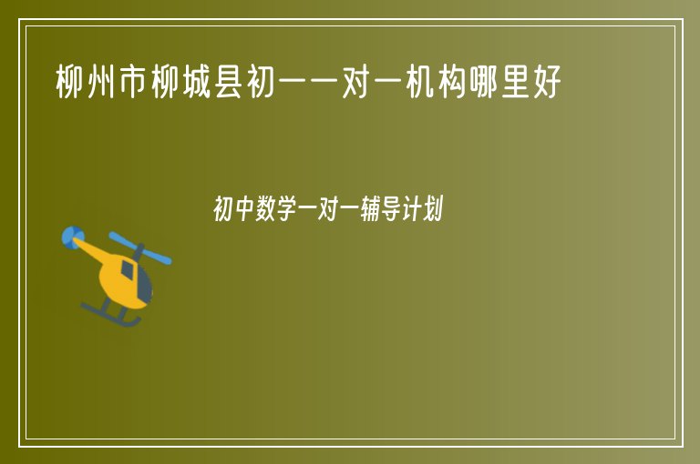 柳州市柳城縣初一一對一機構(gòu)哪里好