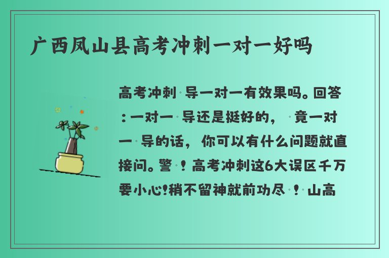 廣西鳳山縣高考沖刺一對一好嗎