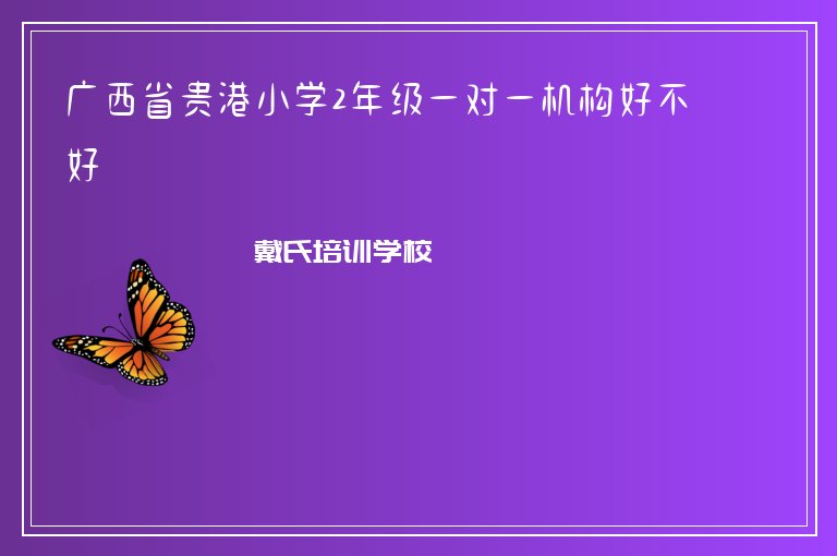 廣西省貴港小學(xué)2年級一對一機(jī)構(gòu)好不好