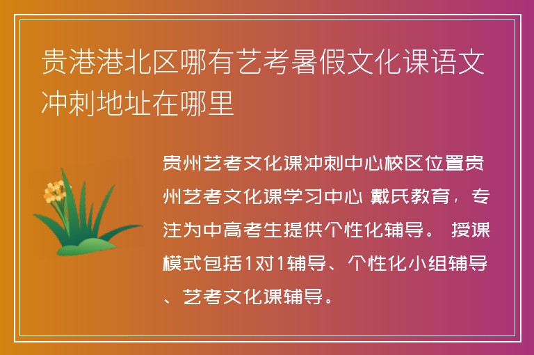 貴港港北區(qū)哪有藝考暑假文化課語(yǔ)文沖刺地址在哪里