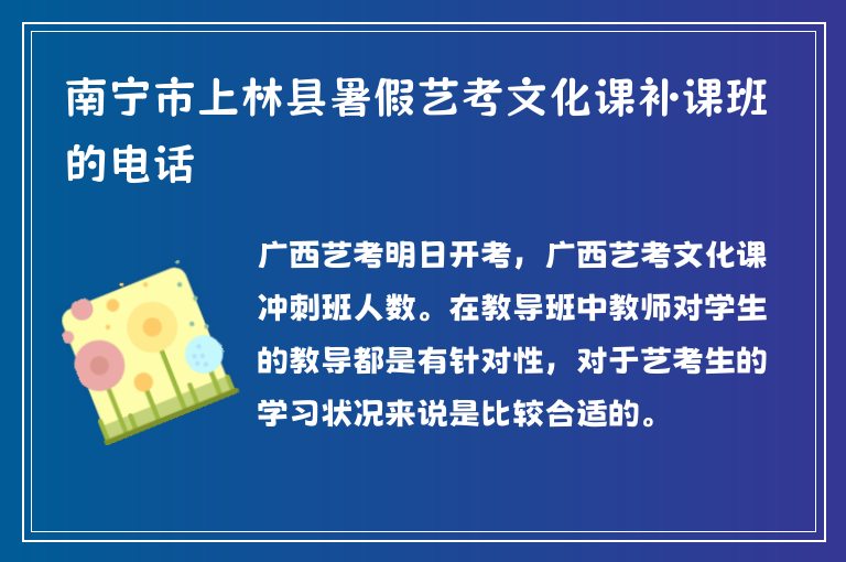 南寧市上林縣暑假藝考文化課補(bǔ)課班的電話