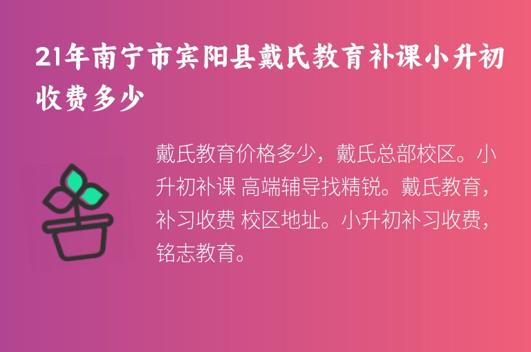 21年南寧市賓陽縣戴氏教育補(bǔ)課小升初收費(fèi)多少