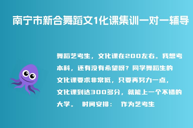 南寧市新合舞蹈文1化課集訓(xùn)一對(duì)一輔導(dǎo)