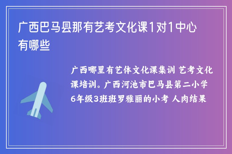 廣西巴馬縣那有藝考文化課1對(duì)1中心有哪些