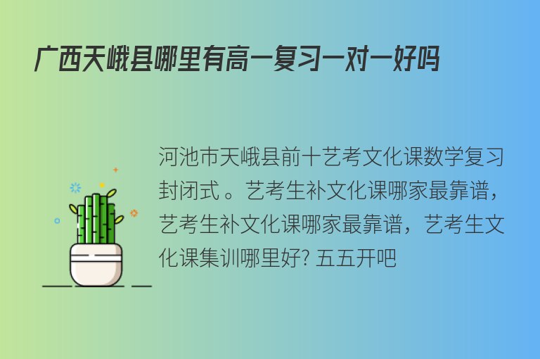 廣西天峨縣哪里有高一復習一對一好嗎