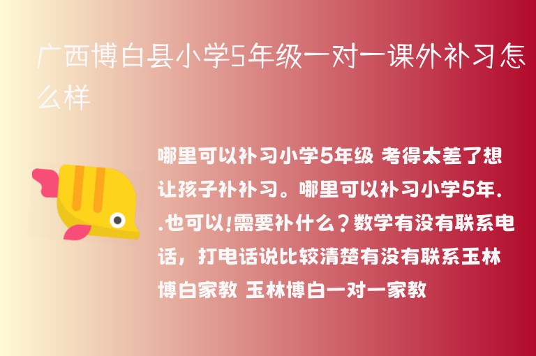 廣西博白縣小學(xué)5年級(jí)一對(duì)一課外補(bǔ)習(xí)怎么樣