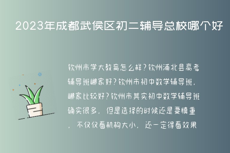 2023年成都武侯區(qū)初二輔導(dǎo)總校哪個好