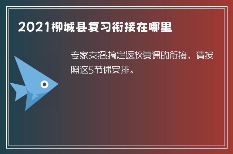 2021柳城縣復(fù)習(xí)銜接在哪里