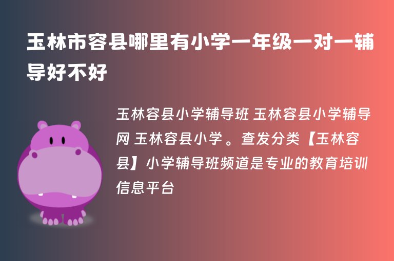 玉林市容縣哪里有小學(xué)一年級(jí)一對(duì)一輔導(dǎo)好不好