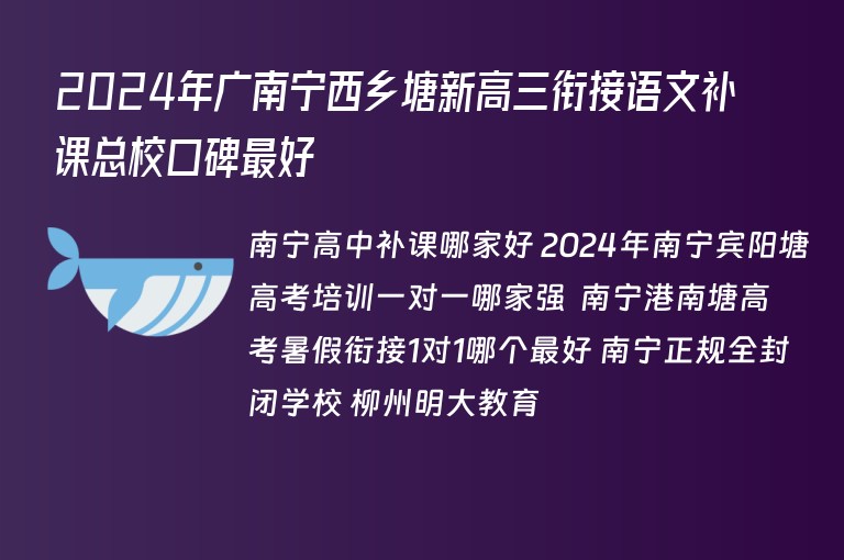 2024年廣南寧西鄉(xiāng)塘新高三銜接語文補課總校口碑最好