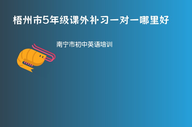 梧州市5年級課外補(bǔ)習(xí)一對一哪里好