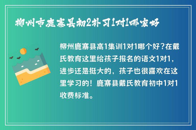 柳州市鹿寨縣初2補(bǔ)習(xí)1對1哪家好