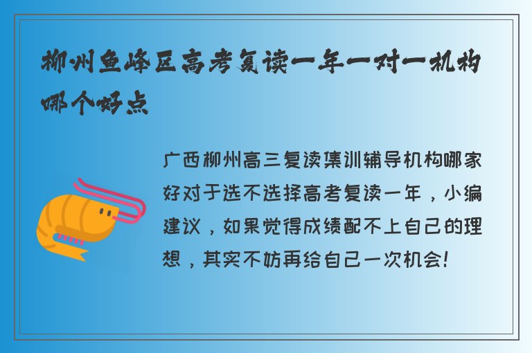 柳州魚峰區(qū)高考復讀一年一對一機構(gòu)哪個好點