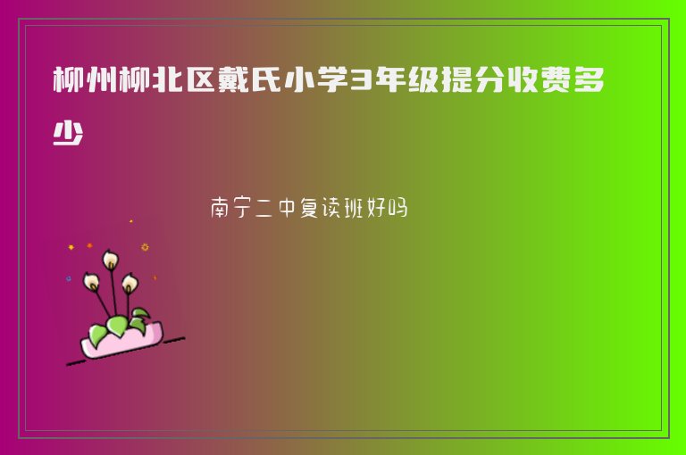 柳州柳北區(qū)戴氏小學(xué)3年級提分收費多少