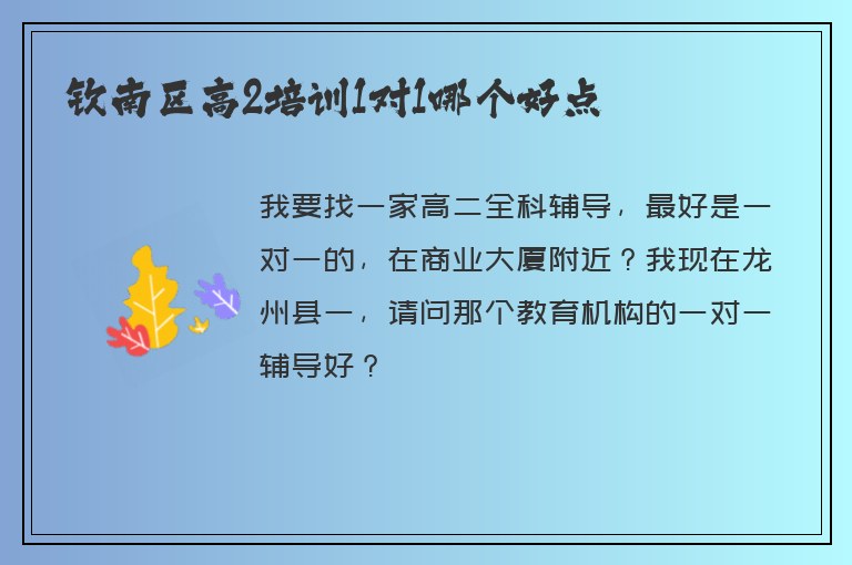 欽南區(qū)高2培訓1對1哪個好點