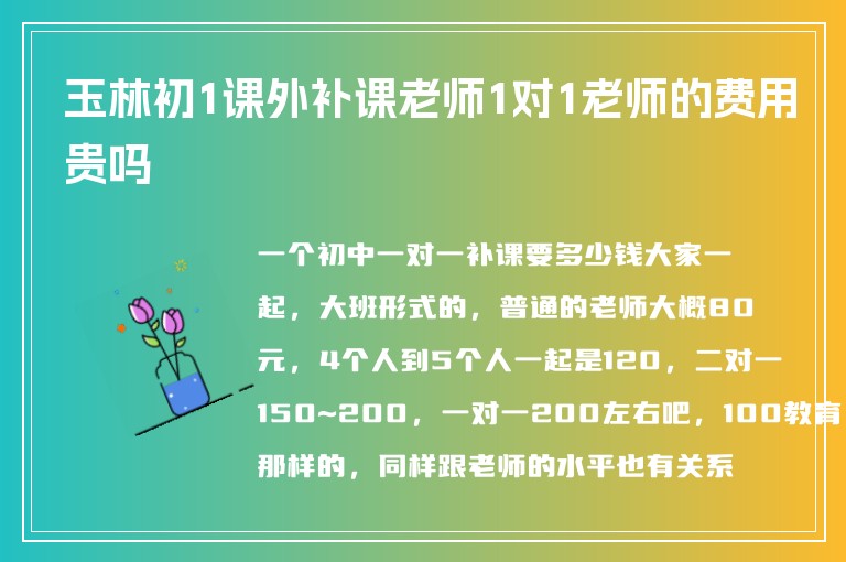 玉林初1課外補(bǔ)課老師1對1老師的費(fèi)用貴嗎