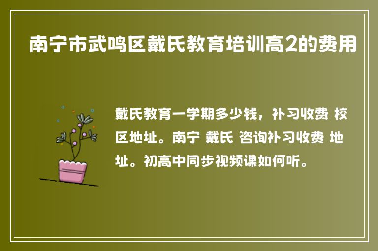 南寧市武鳴區(qū)戴氏教育培訓(xùn)高2的費(fèi)用