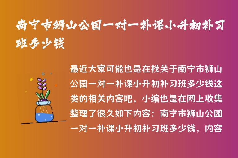 南寧市獅山公園一對一補課小升初補習班多少錢