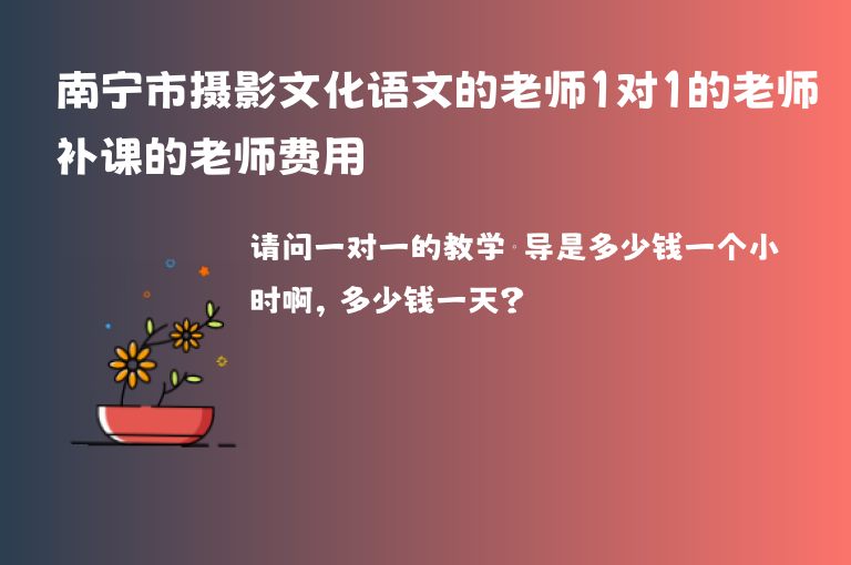 南寧市攝影文化語文的老師1對(duì)1的老師補(bǔ)課的老師費(fèi)用