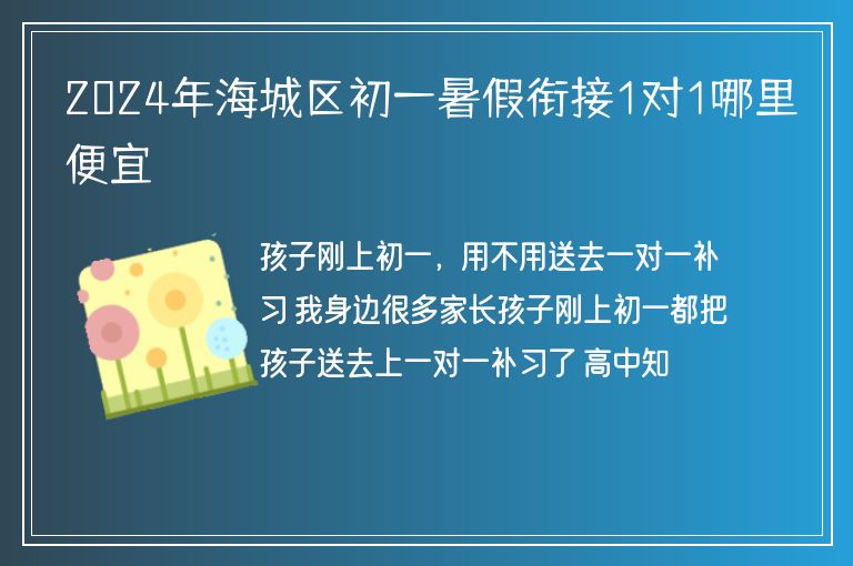 2024年海城區(qū)初一暑假銜接1對(duì)1哪里便宜