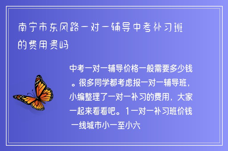 南寧市東風路一對一輔導中考補習班的費用貴嗎