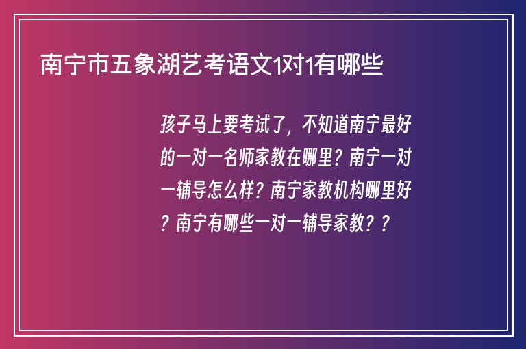 南寧市五象湖藝考語文1對1有哪些