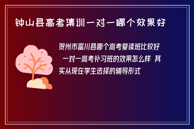 鐘山縣高考集訓(xùn)一對(duì)一哪個(gè)效果好