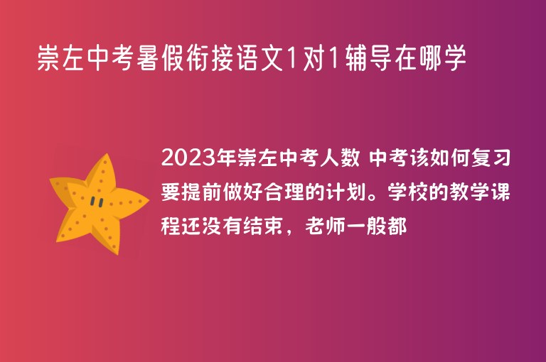 崇左中考暑假銜接語文1對1輔導在哪學