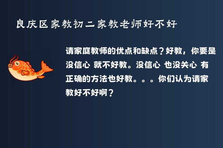 良慶區(qū)家教初二家教老師好不好