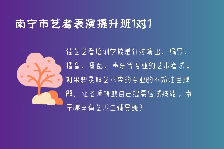 南寧市藝考表演提升班1對1