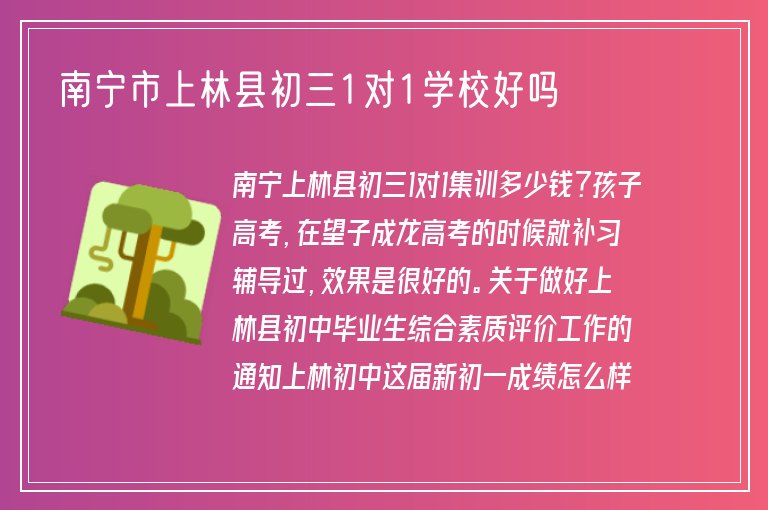 南寧市上林縣初三1對1學校好嗎