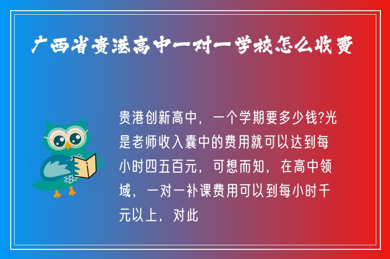 廣西省貴港高中一對(duì)一學(xué)校怎么收費(fèi)