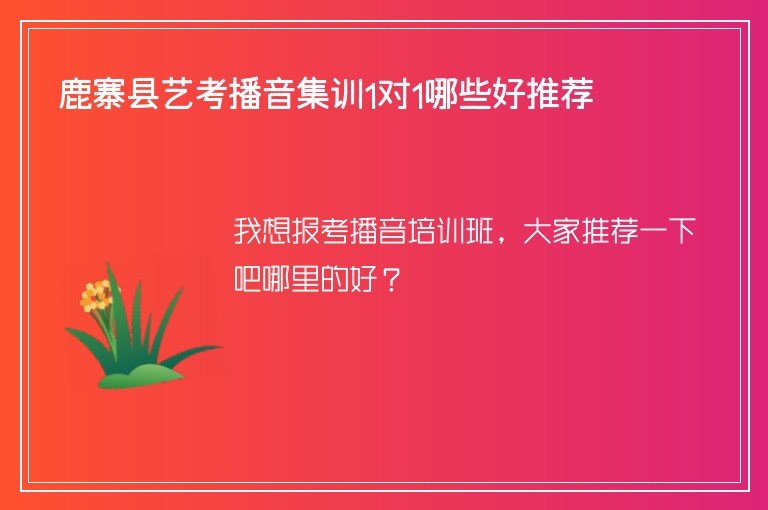 鹿寨縣藝考播音集訓(xùn)1對(duì)1哪些好推薦