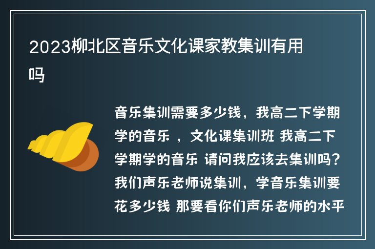 2023柳北區(qū)音樂文化課家教集訓有用嗎