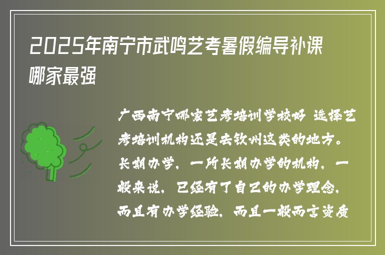 2025年南寧市武鳴藝考暑假編導補課哪家最強