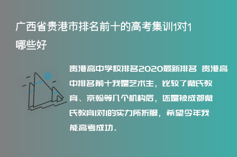 廣西省貴港市排名前十的高考集訓(xùn)1對(duì)1哪些好