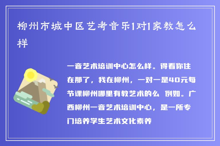 柳州市城中區(qū)藝考音樂1對1家教怎么樣