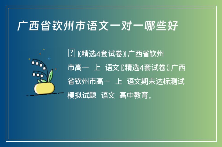 廣西省欽州市語文一對一哪些好